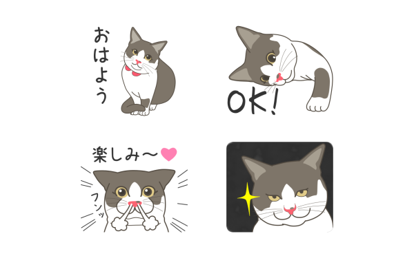 LINEスタンプ「ふさかわニャンコのランちゃん」